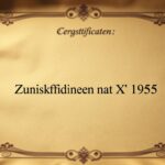 § 1955 Zuständigkeit für die Erklärung
