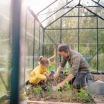 Gewächshaus im Kleingarten