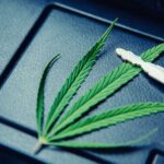 Cannabis im Straßenverkehr