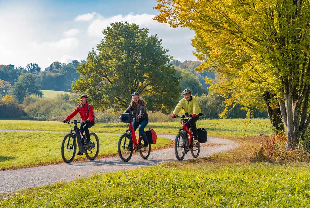 alkohol-und-e-bike