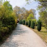 Hohe Hecke an der Grundstücksgrenze zwischen zwei Gärten