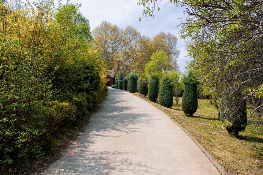 Hohe Hecke an der Grundstücksgrenze zwischen zwei Gärten